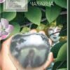 «Хроніки Нарнії. Небіж чаклуна» Клайв Льюїс